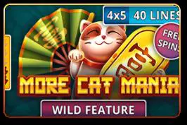 More Cat Mania - Spin City - Namibia