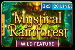 Mystical Rainforest - Spin City - Namibia