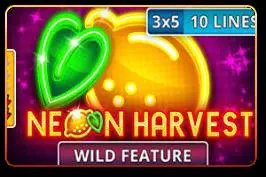 Neon Harvest - Spin City - Namibia