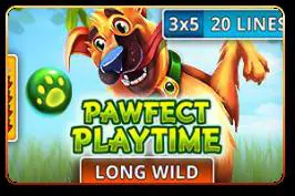 Pawfect Playtime - Spin City - Namibia