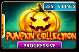 Pumpkin Collection - Spin City - Namibia