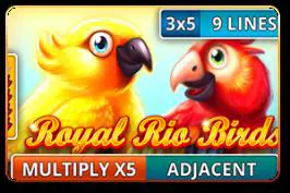 Royal Rio Birds - Spin City - Namibia