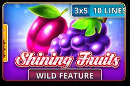 Shining Fruits - Spin City - Namibia