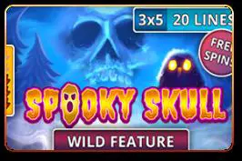 Spooky Skull - Spin City - Namibia