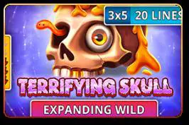 Terrifying Skull - Spin City - Namibia