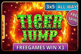 Tiger Jump - Spin City - Namibia