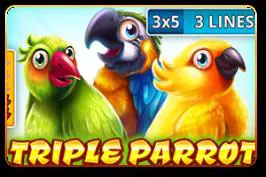 Triple Parrot - Spin City - Namibia