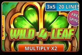 Wild 4 Leaf - Spin City - Namibia