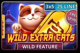 Wild Extra Cats - Spin City - Namibia