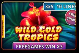 Wild Gold Tropics - Spin City - Namibia