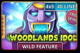 Woodlands idol - Spin City - Namibia