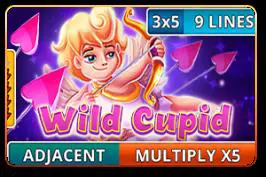 Wild Cupid - Spin City - Namibia