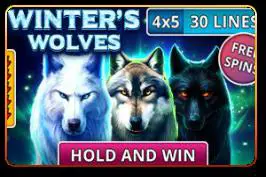 Winter's Wolves - Spin City - Namibia