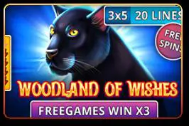 Woodland of Wishes - Spin City - Namibia