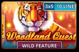 Woodland Quest - Spin City - Namibia
