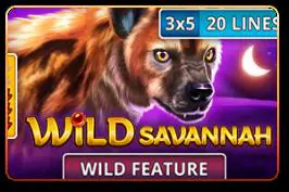 Wild Savannah - Spin City - Namibia