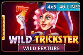 Wild Trickster - Spin City - Namibia