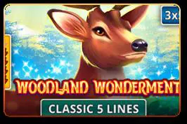 Woodland Wonderment - Spin City - Namibia
