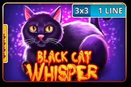 Black Cat Whisper (3x3) - Spin City - Namibia