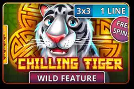 Chilling Tiger (3x3) - Spin City - Namibia