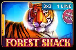 Forest Shack (3x3) - Spin City - Namibia