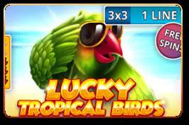 Lucky Tropical Birds (3x3) - Spin City - Namibia