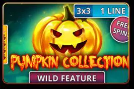 Pumpkin Collection (3x3) - Spin City - Namibia