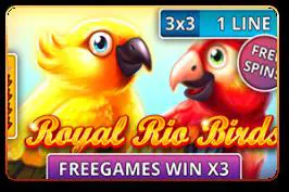 Royal Rio Birds (3x3) - Spin City - Namibia