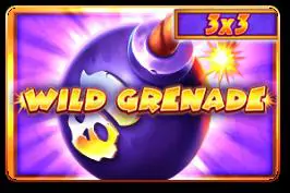 Wild Grenade (3x3) - Spin City - Namibia