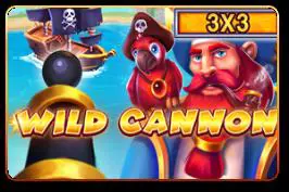 Wild Cannon (3x3) - Spin City - Namibia