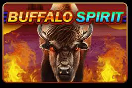 Buffalo Spirit - Spin City - Namibia