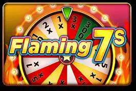 Flaming 7's - Spin City - Namibia