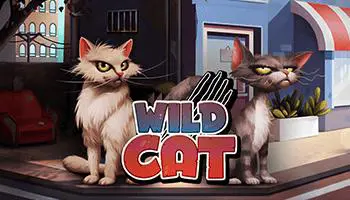 Wild Cat - Spin City - Namibia