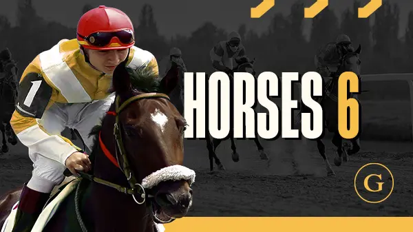 Horse 6 H.Odds - Spin City - Namibia