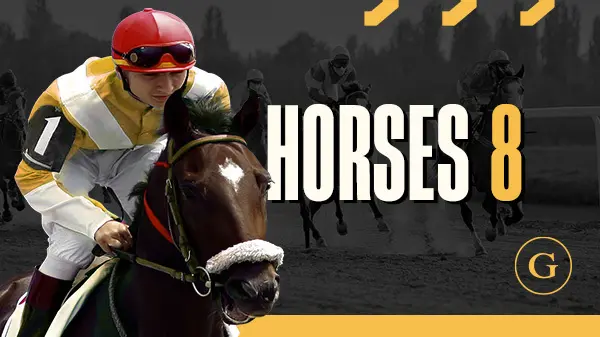 Horses 8 Sprint - Spin City - Namibia