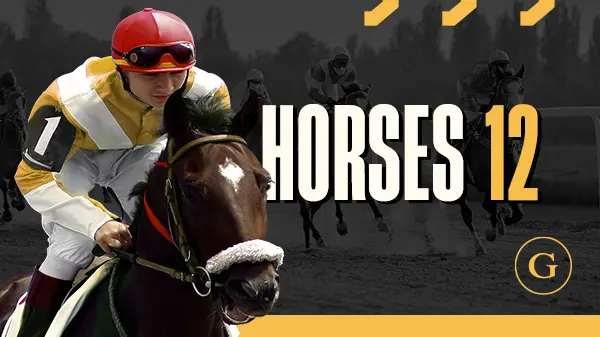 Horses 12 Flat Scheduled - Spin City - Namibia