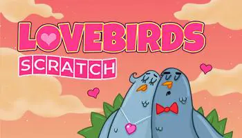 Love Birds - Spin City - Namibia
