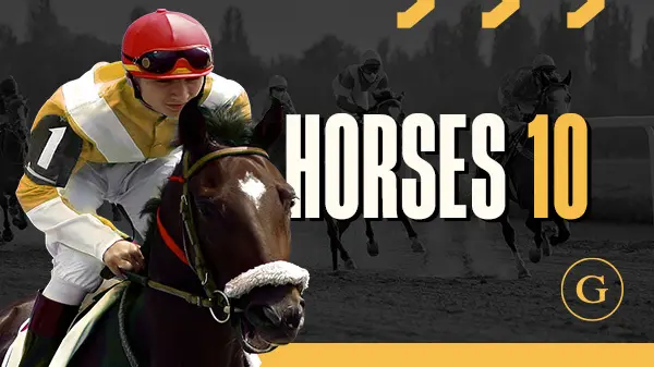 Horses 10 Sprint - Spin City - Namibia