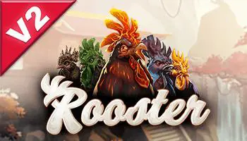 Rooster - Spin City - Namibia