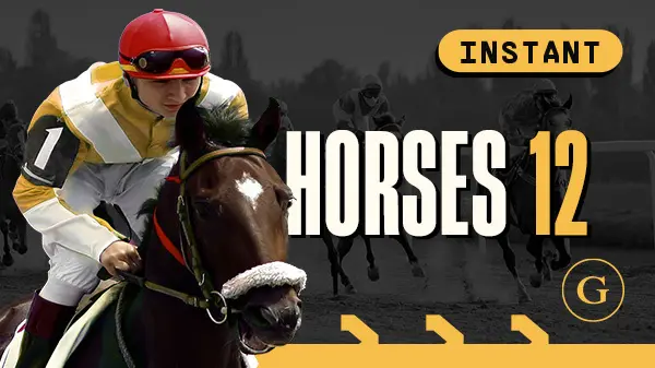 Horses 12 Flat On Demand - Spin City - Namibia