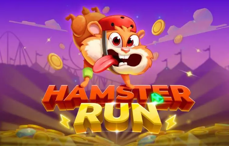 Hamster Run - Spin City - Namibia