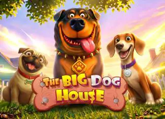 The Big Dog House - Spin City - Namibia