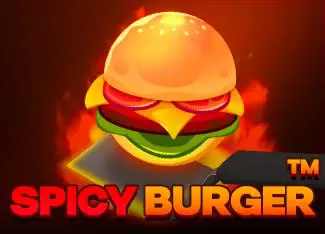 Spicy Burger - Spin City - Namibia