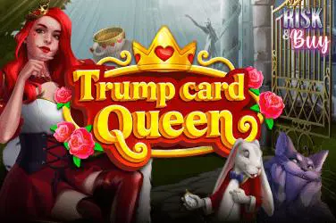 Trump Card: Queen - Spin City - Namibia