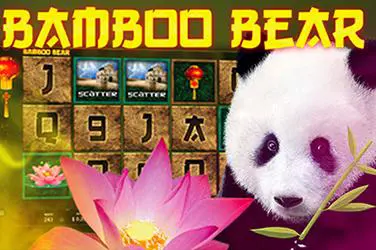 Bamboo Bear - Spin City - Namibia