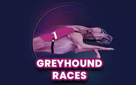 Greyhound Races - Spin City - Namibia