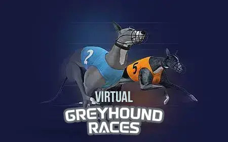 Virtual Greyhound Races - Spin City - Namibia