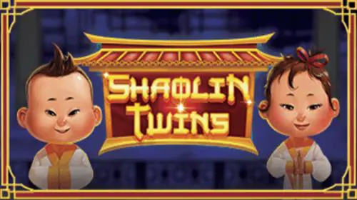 Shaolin Twins
