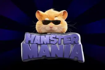 Hamster Mania - Spin City - Namibia