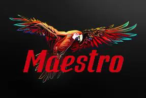 Maestro - Spin City - Namibia